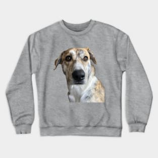 Paulas Dog Crewneck Sweatshirt